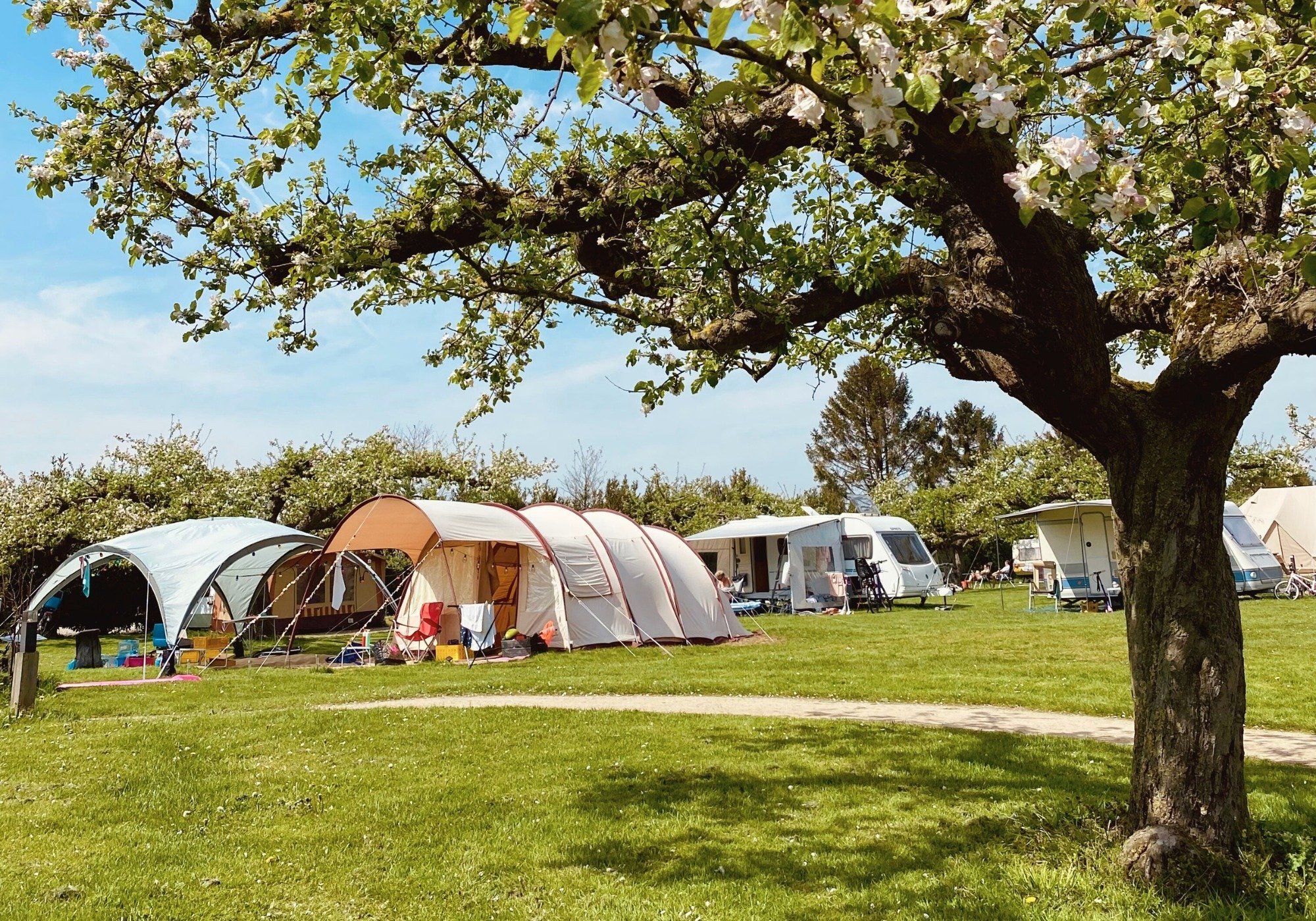 0 buitengoed de boomgaard kamperen 43