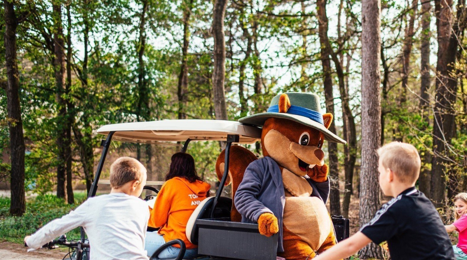 Activiteiten eurocamping vessem