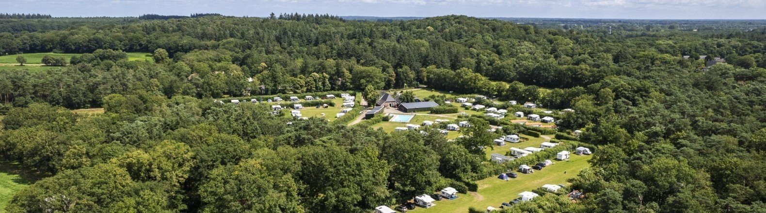 Banner prosuco web 6